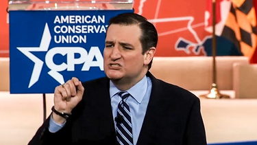 OpenGraph image for rawstory.com/2015/11/ted-cruz-lashes-out-the-overwhelming-majority-of-violent-criminals-are-democrats/